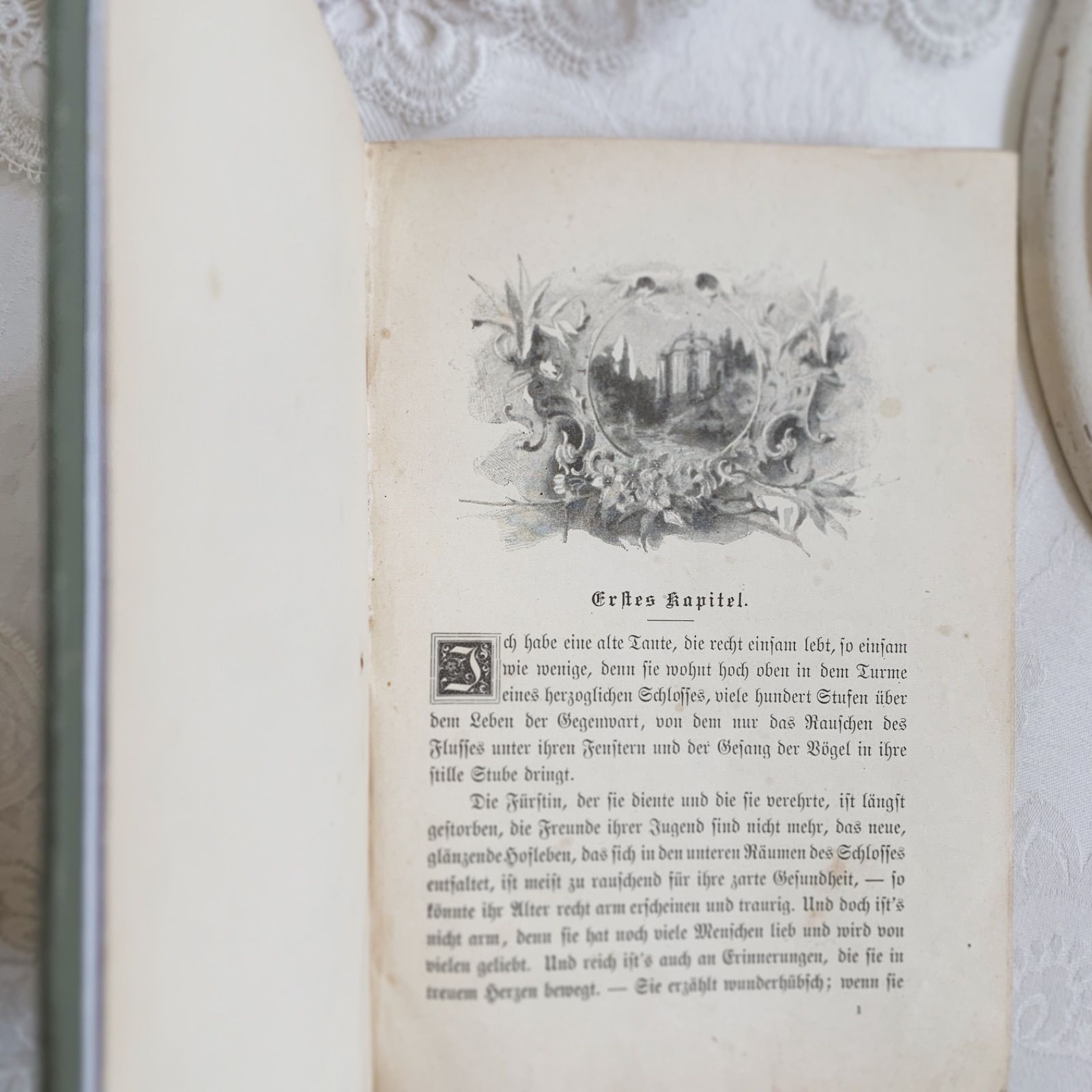 1898年 アンティーク洋書 -古書ならではの装丁のディスプレイ洋書