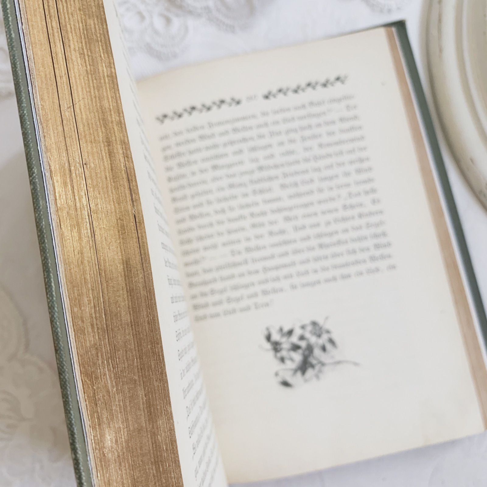 1898年 アンティーク洋書 -古書ならではの装丁のディスプレイ洋書