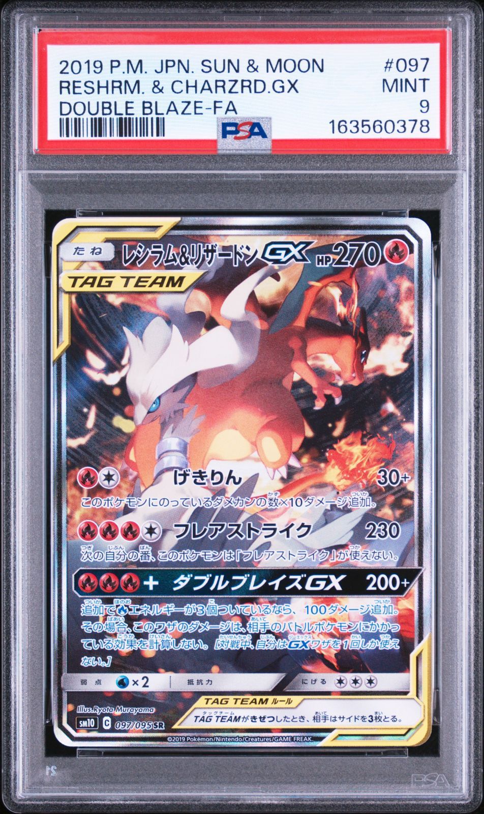 psa10 Nのゾロア ar psa10 ユキノオー chr