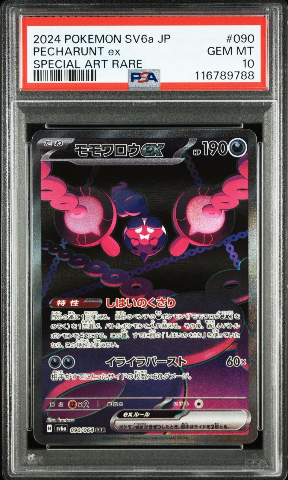 イイネイヌex マシマシラex キチキギスex モモワロウex SAR PSA10 4連番
