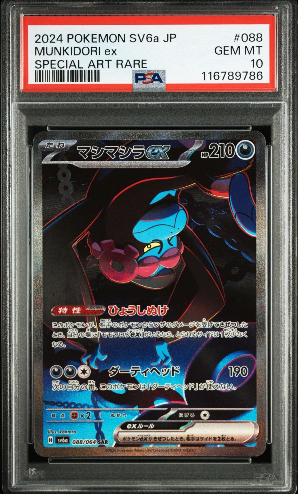 イイネイヌex マシマシラex キチキギスex モモワロウex SAR PSA10 4連番