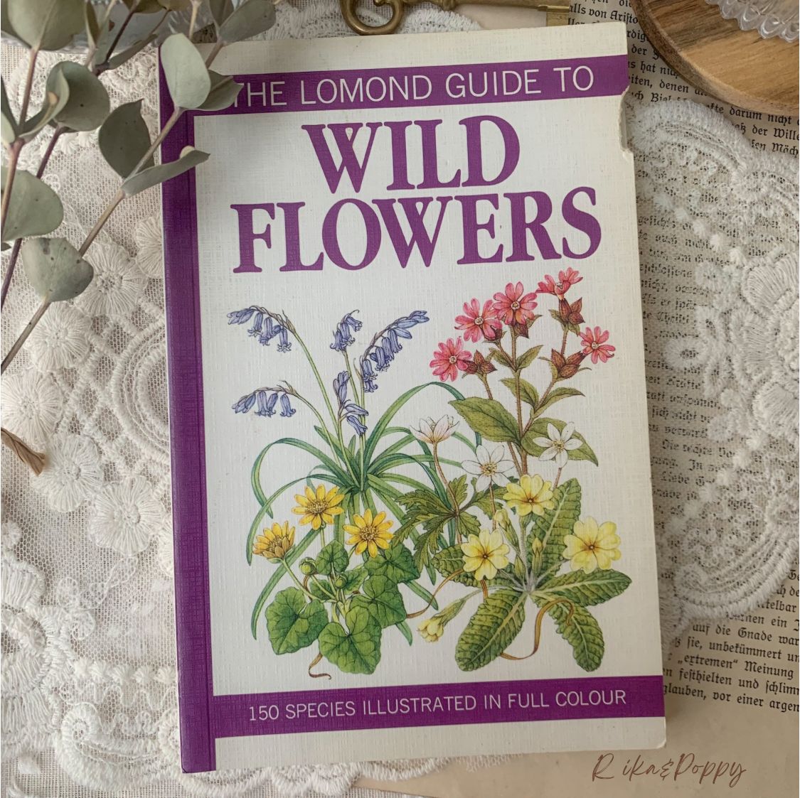 ヴィンテージ 洋書 『WILD FLOWERS』植物図鑑 ボタニカルイラスト
