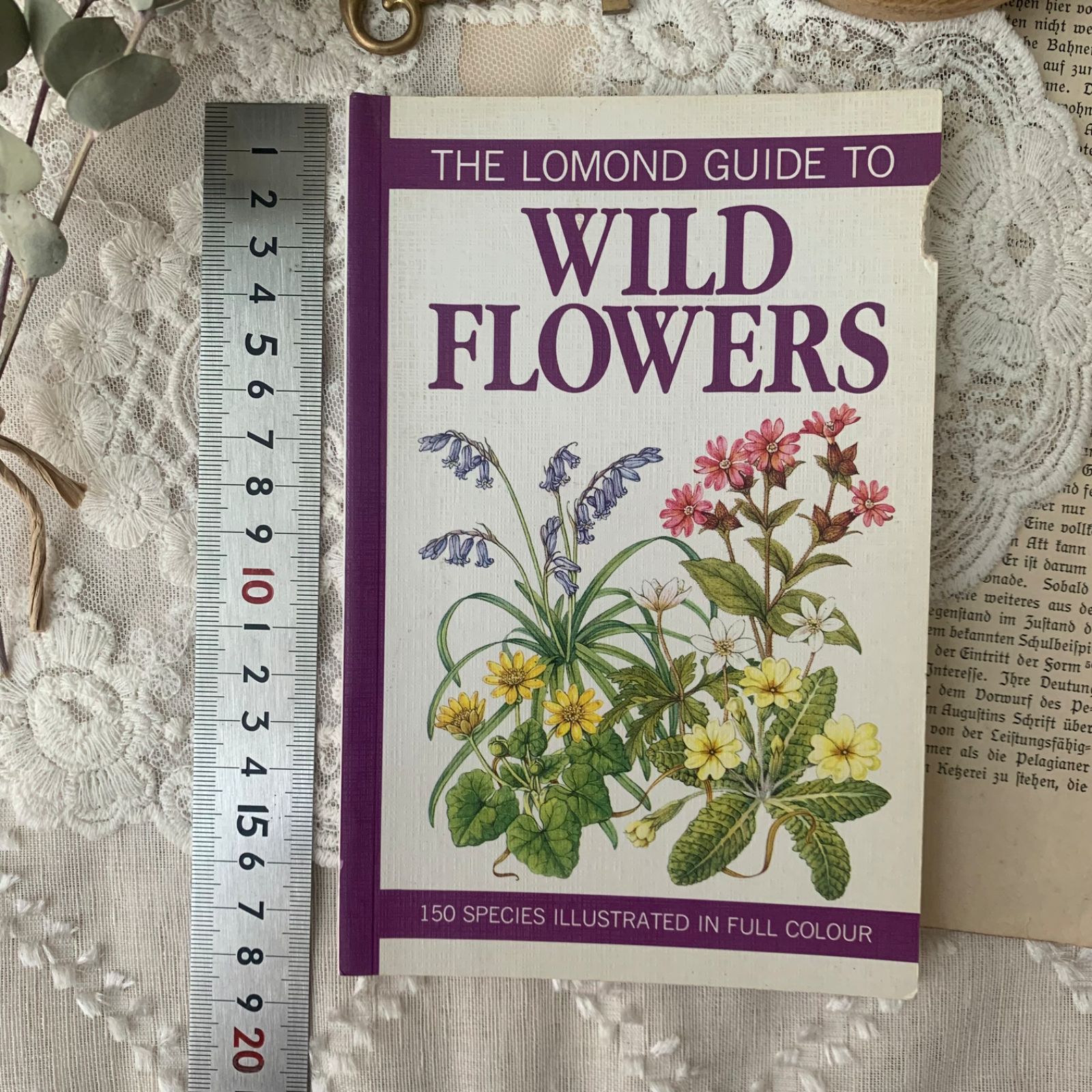 ヴィンテージ 洋書 『WILD FLOWERS』植物図鑑 ボタニカルイラスト