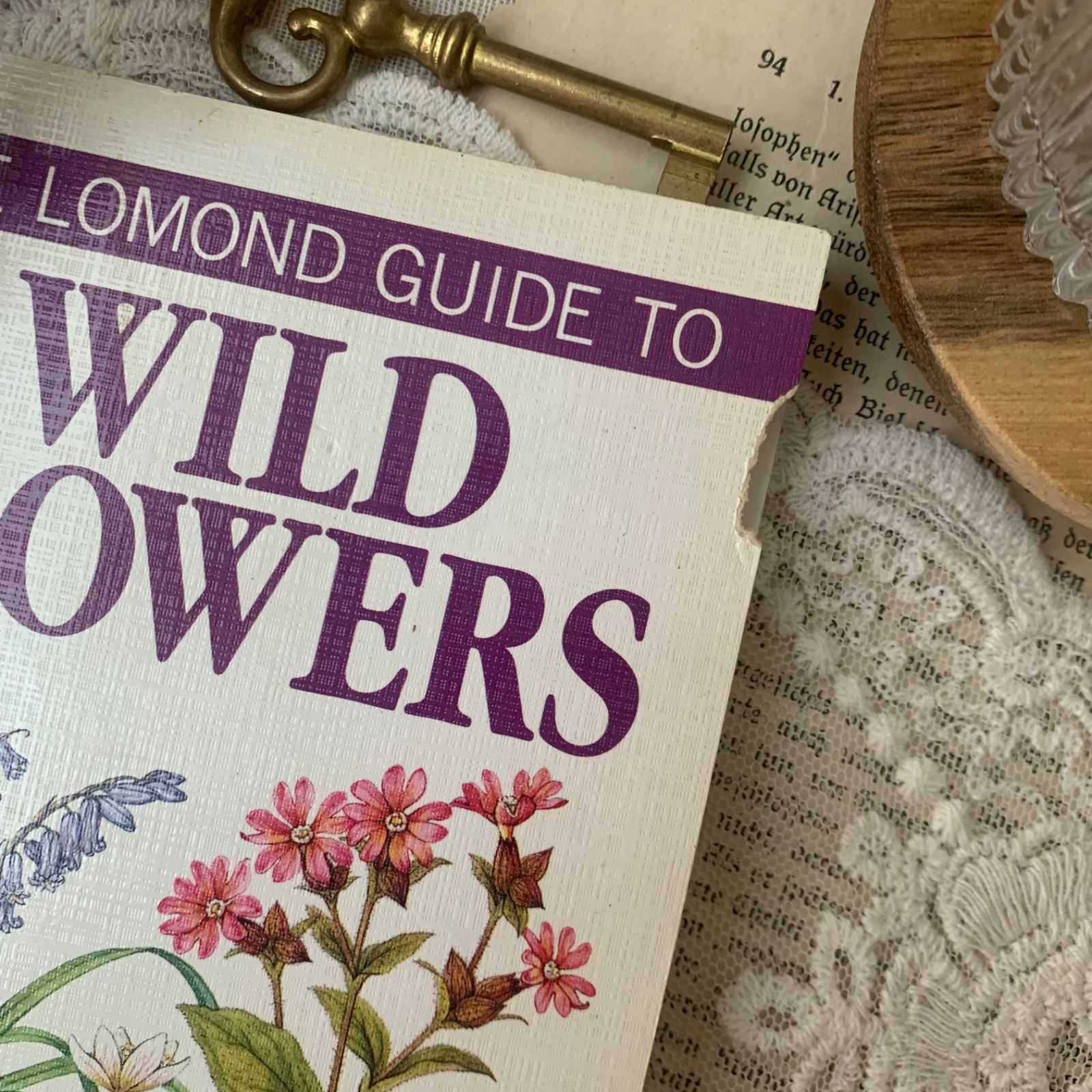 ヴィンテージ 洋書 『WILD FLOWERS』植物図鑑 ボタニカルイラスト