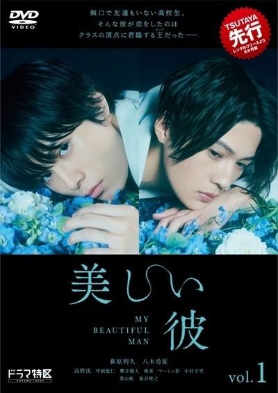 ●【中古】 美しい彼(6巻セット)シーズン1,シーズン2,エターナル [レンタル落ち] [DVD]