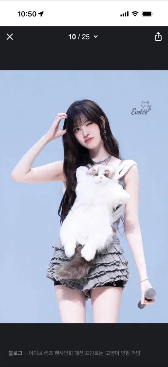 可愛い猫ぬいぐるみバックパック
