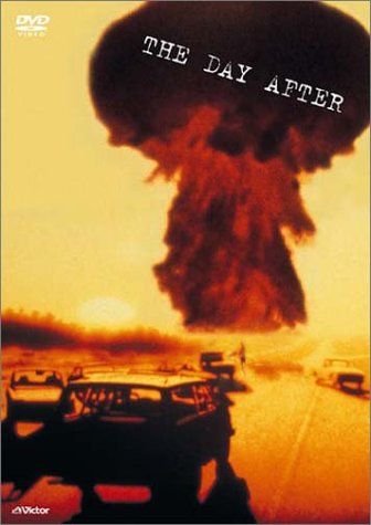 ザ・デイ・アフター [DVD]／ニコラス・メイヤー