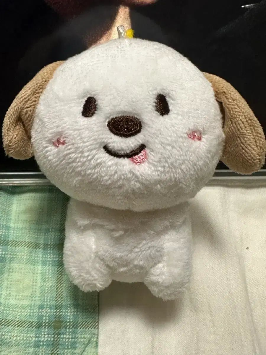 RIIZE（ライズ） 멍룡이 開封