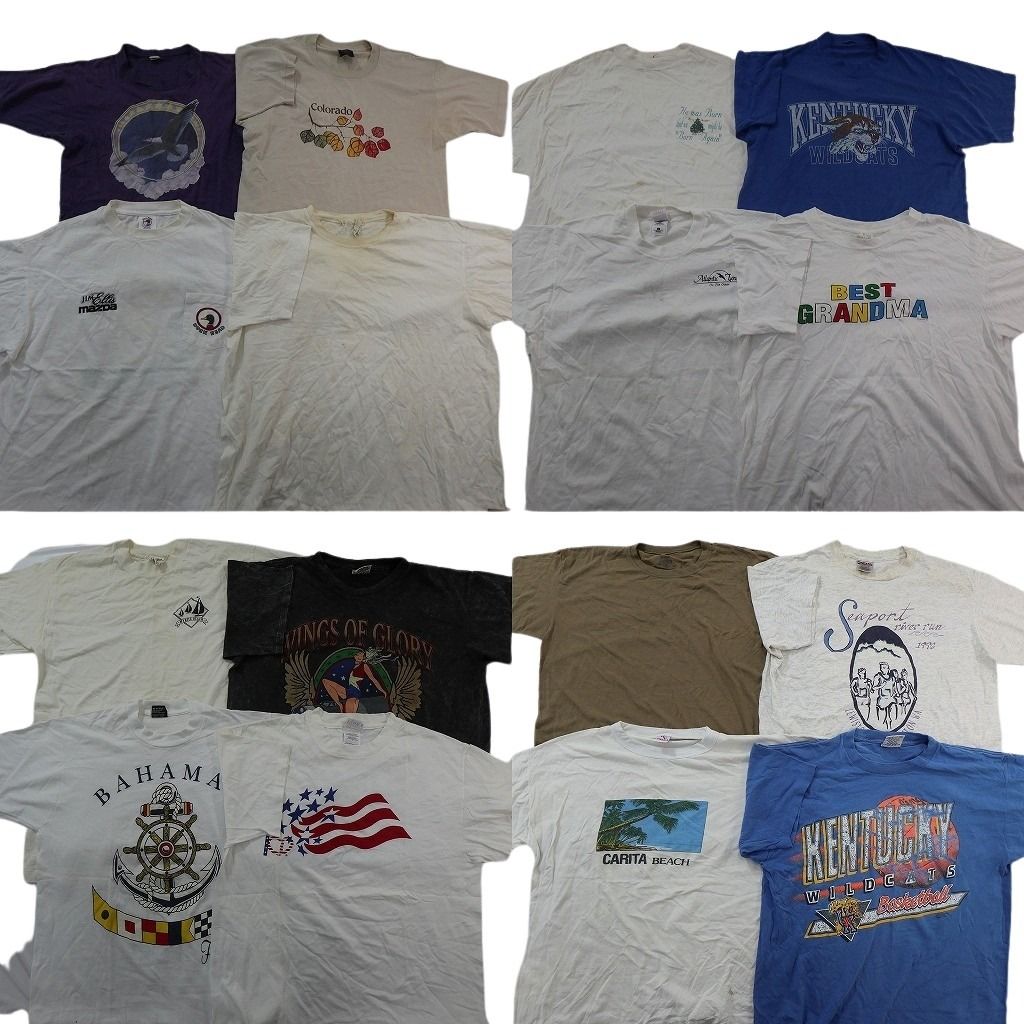 古着卸 まとめ売り ヴィンテージ シングルステッチ Tシャツ 16枚セット ( メンズ L ) フルーツオブザルーム カレッジ風 中古 古着 NF2794