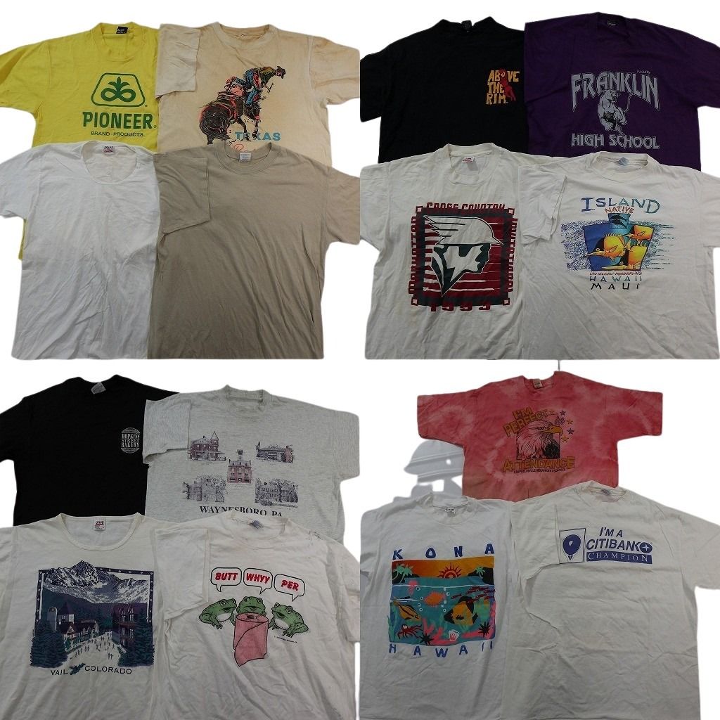 古着卸 まとめ売り ヴィンテージ シングルステッチ Tシャツ 16枚セット ( メンズ L ) ヘインズ アニマル 動物 カレッジ風 中古 古着 NF2797