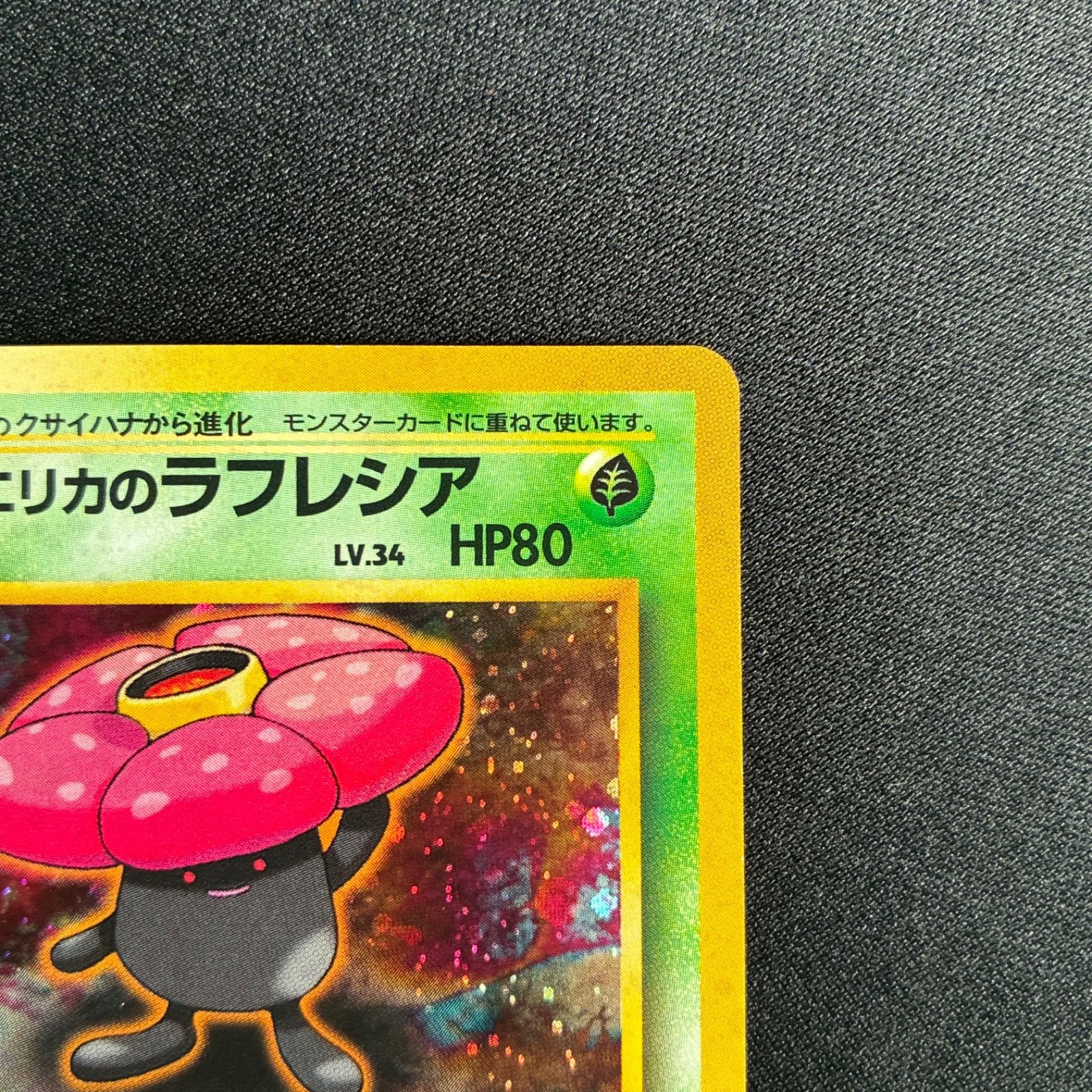 状態S エリカのラフレシア 旧裏 - メルカリ