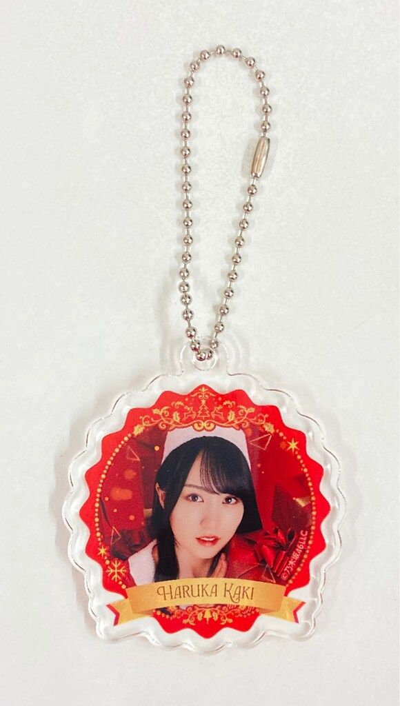 乃木坂46 のぎBOX NOGI's Christmas Dream Box 賀喜遥香 A賞 アクリル