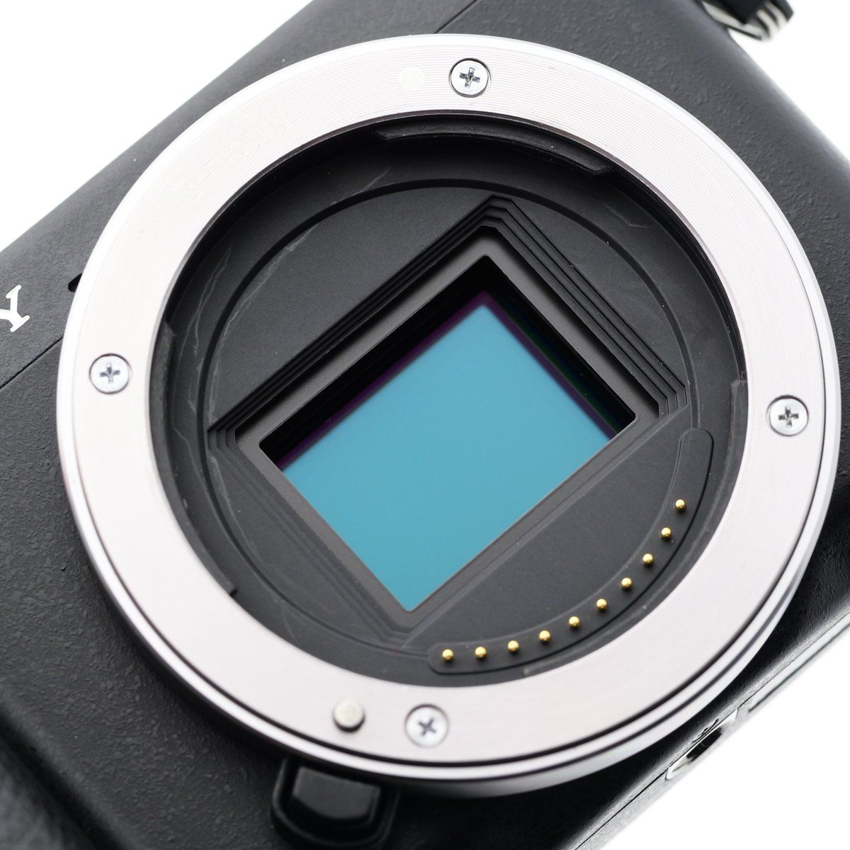 ショット数2,762回 SONY NEX-6 ミラーレス一眼 ソニー Eマウント 