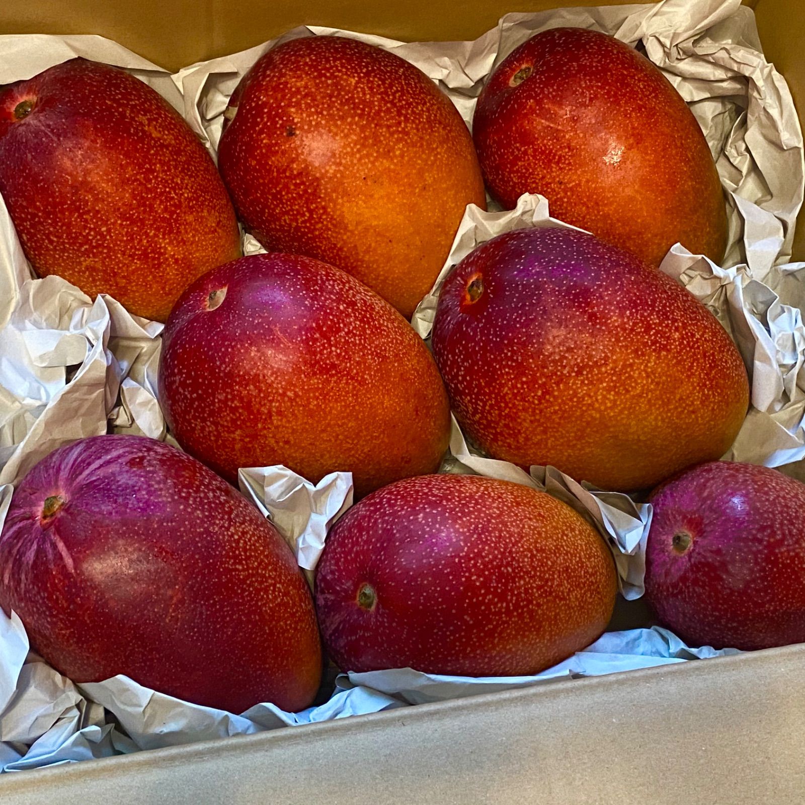 訳あり宮崎完熟マンゴー 8玉約5kg 冷蔵発送 - メルカリ