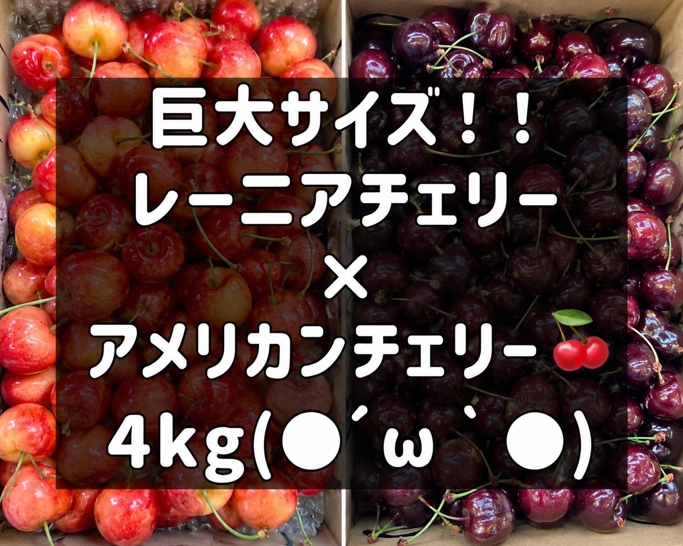 超希少8.5Rレーニアチェリー 高級チェリー食べ比べセット 4kg さくらんぼ