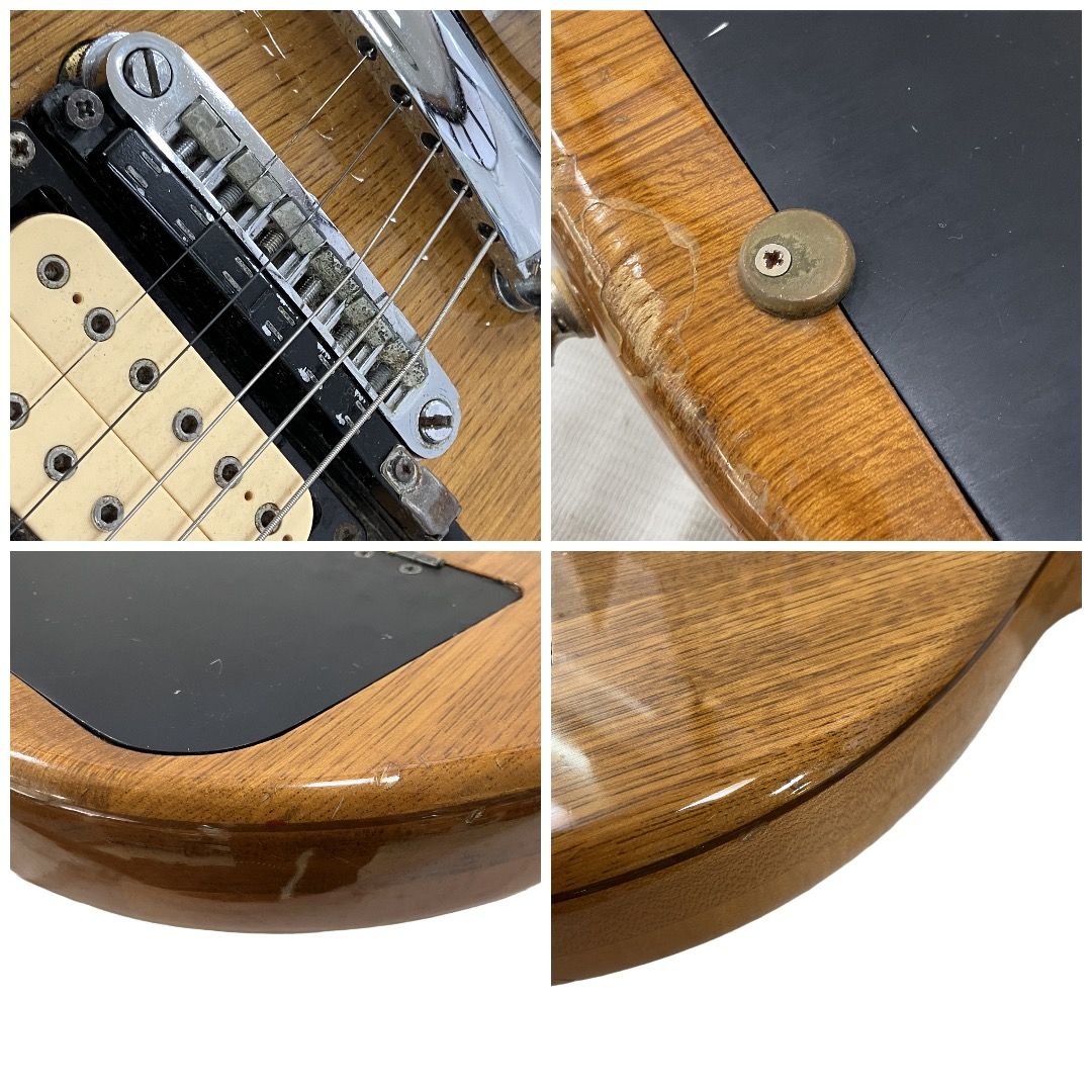 Electra エレクトラ レスポールタイプ エレキギター 弦楽器 Roland GK