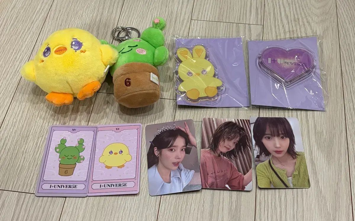 IU 6期ファンコンサート ファンコン グッズ トレカ グリップトック キーホルダー トゥーアリ BBIBBI 多肉植物