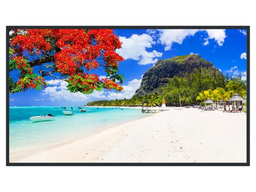 【新品・2営業日で発送】PANASONIC パナソニック 50V型4Kスタンダード液晶ディスプレイ(TH-50SQ2HJ)