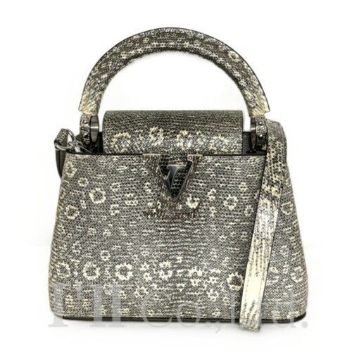 Louis Vuitton ルイ・ヴィトン カプシーヌ MINI N92997 リザード レザー シルバー ブランドバッグ ハンドバッグ ミニバッグ ショルダーバッグ 2Way エキゾチックレザー トカゲ革【中古】【86967】