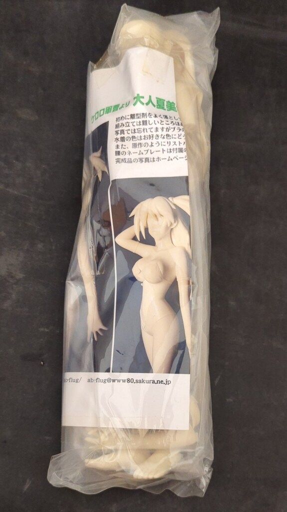 Ab=flug 1/6スケールレジンキャストキット 原型 れん・しゅぽると 大人夏美水着版 の商品写真