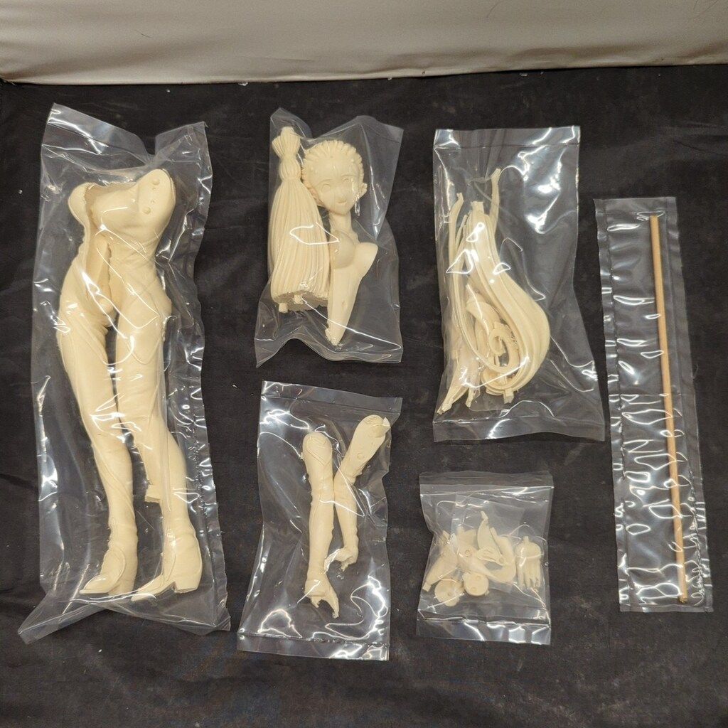 S-MIST 1/6 レジンキャストキット ベルダンディー(ストリングフェローホーキver.) キャスト