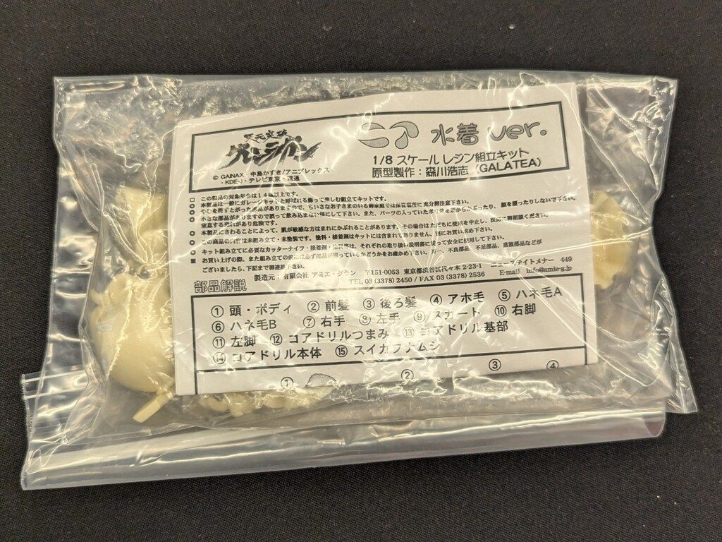 アミエグラン 1/8スケールレジンキャストキット 原型 森川浩志 ニア 水着ver 8,384円