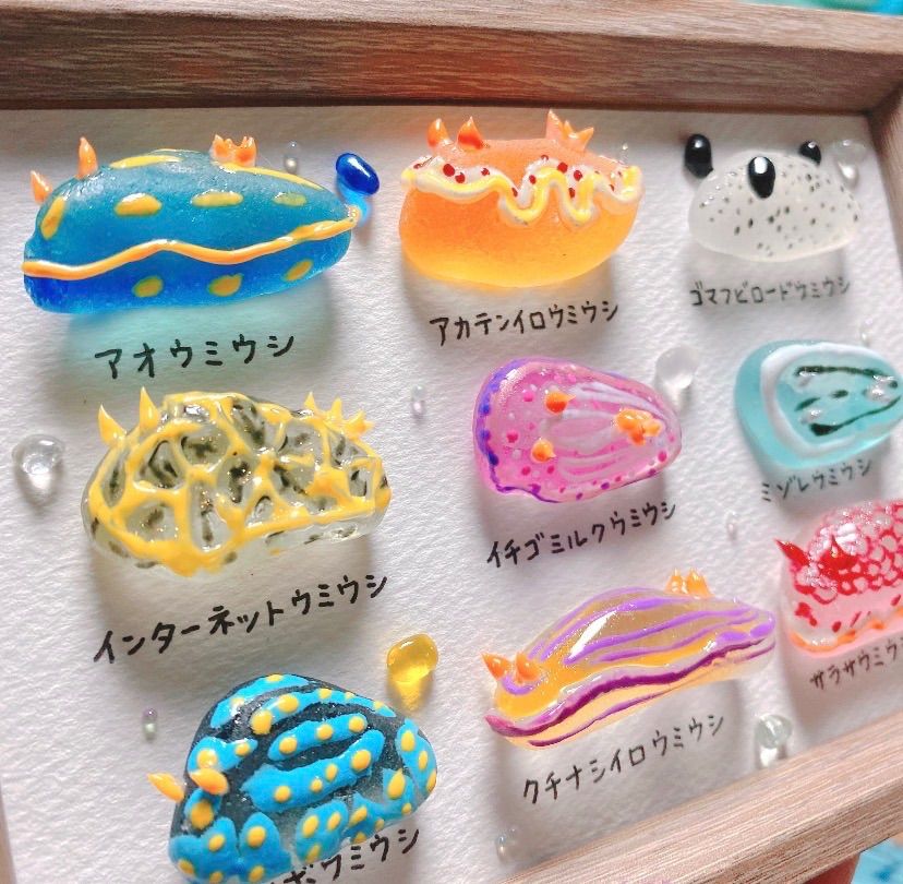 ぷっくり ウミウシ図鑑❣️シーグラスアート❣️フレーム変更可 sea