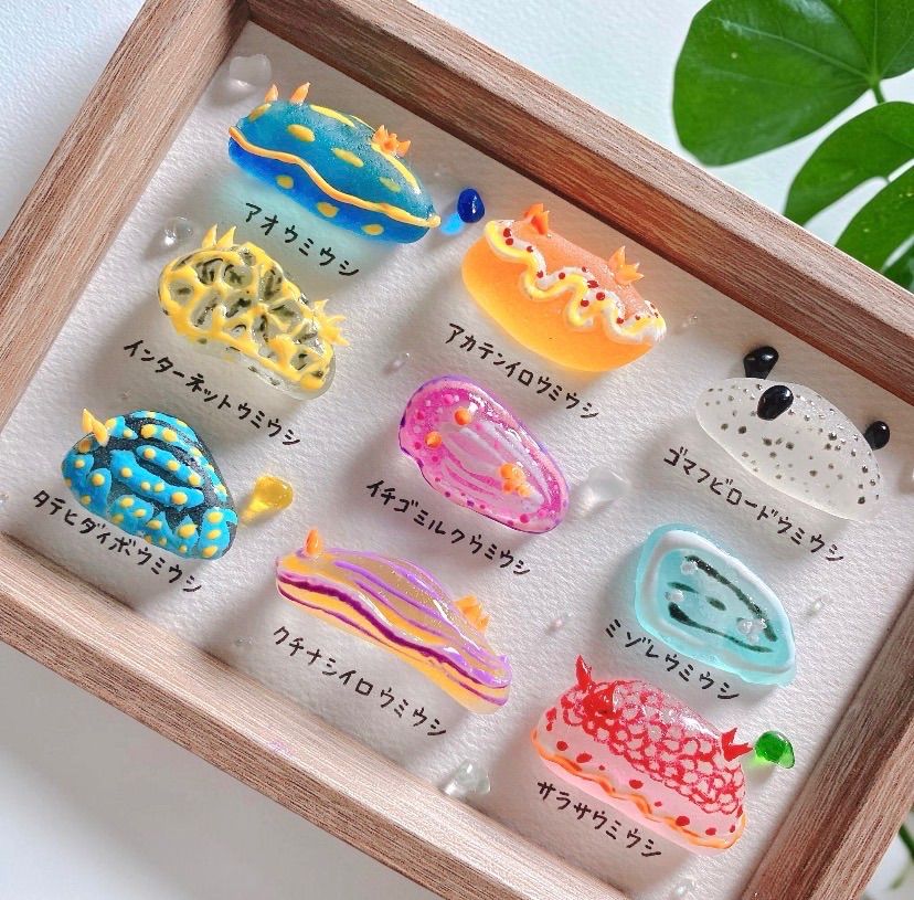 ウミウシ図鑑♡9種❣️3800円　ガラスアート　シーグラスアート　海ギフト ぷっくり ウミウシ図鑑❣️シーグラスアート❣️フレーム変更可 sea