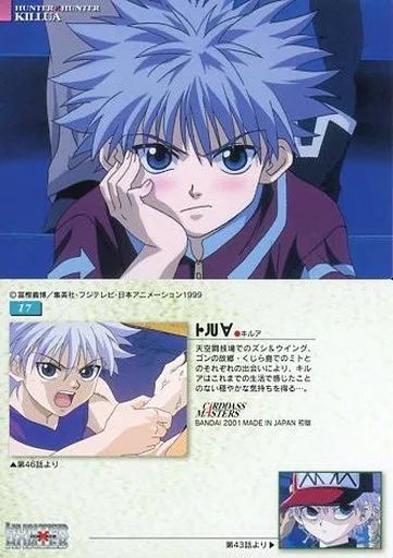 HUNTER×HUNTER (ハンター×ハンター) キルア17 カード｜トレファク