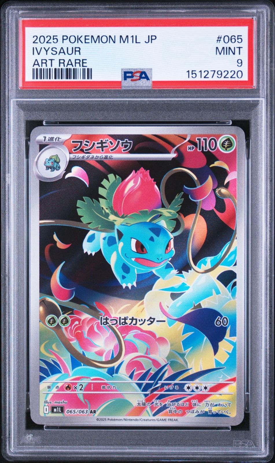 ポケモンカード　メガブレイブ　フシギダネ　AR PSA10 139 PSA10】メガブレイブ収録 フシギダネ M1L 065/063 AR #9220 - メルカリ
