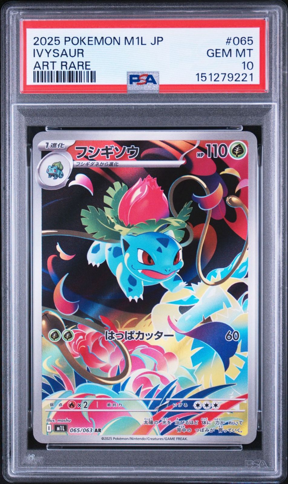 PSA10】メガブレイブ収録 フシギダネ M1L 065/063 AR #9221 - メルカリ