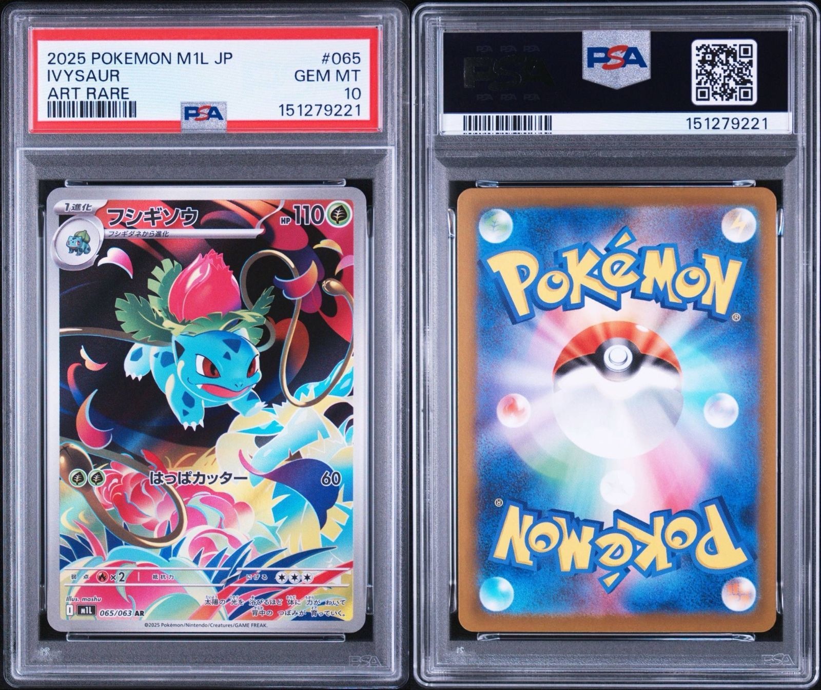 PSA10】メガブレイブ収録 フシギダネ M1L 065/063 AR #9221 - メルカリ