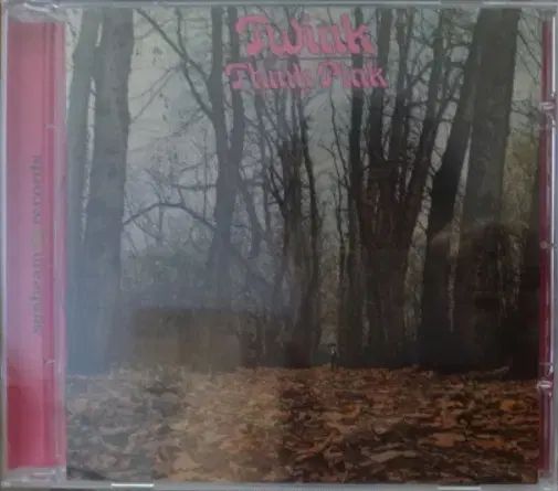 未開封 CD ） Twink ー Think Pink