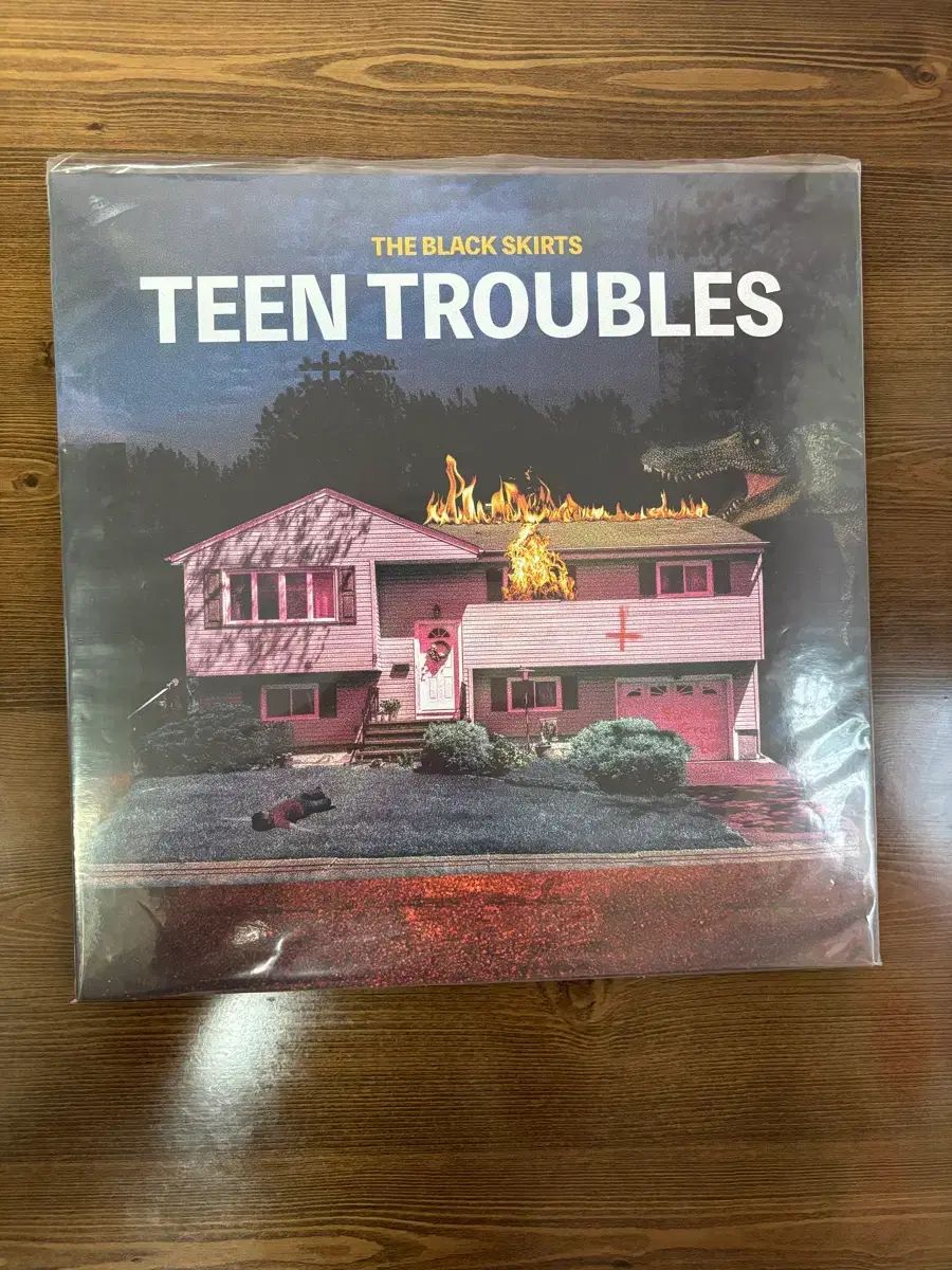 The Black Skirts(コムジョンチマ) teen trouble lp