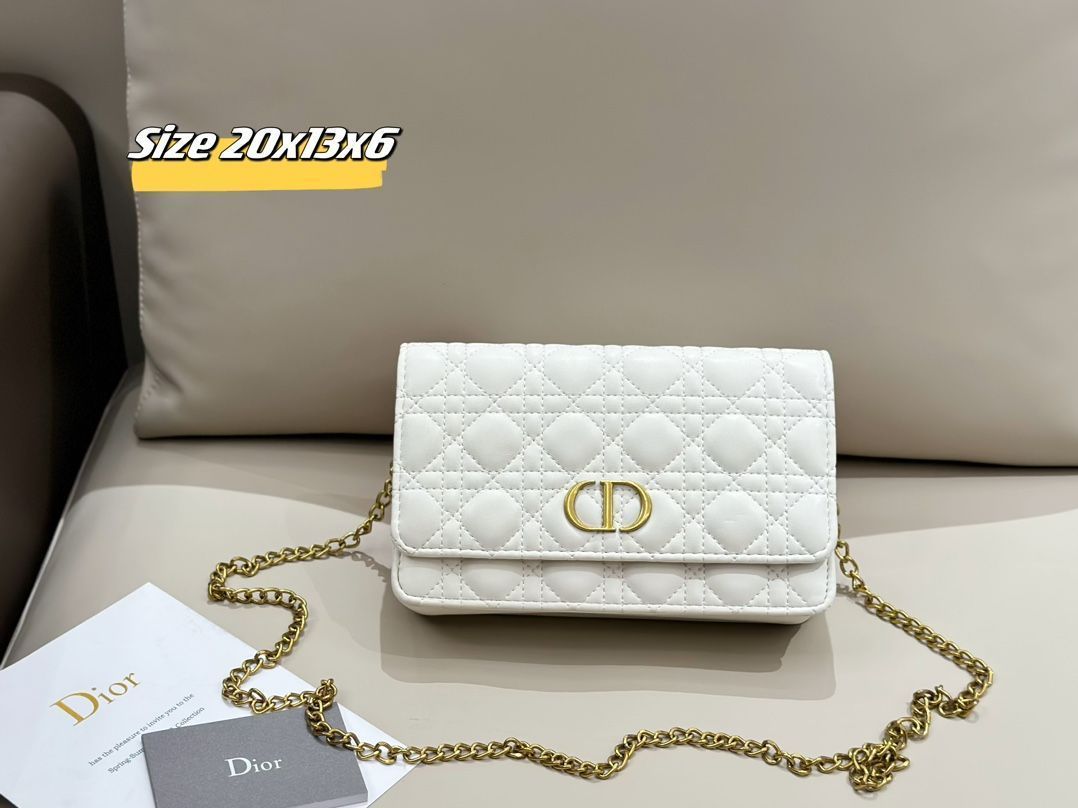 【今日特価】DIOR 魅力的なバッグ / 財布！送料無料で今の在庫はお得な価格です！-WTO輸入1