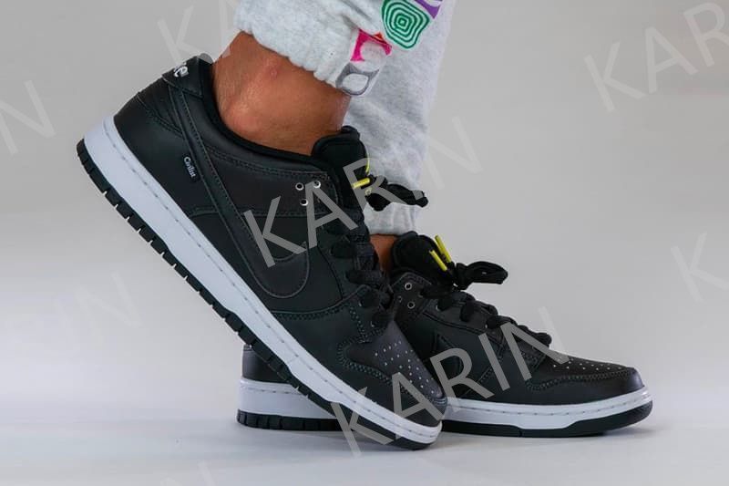 NIKE ナイキ SB ダンク ロー サーモグラフィー