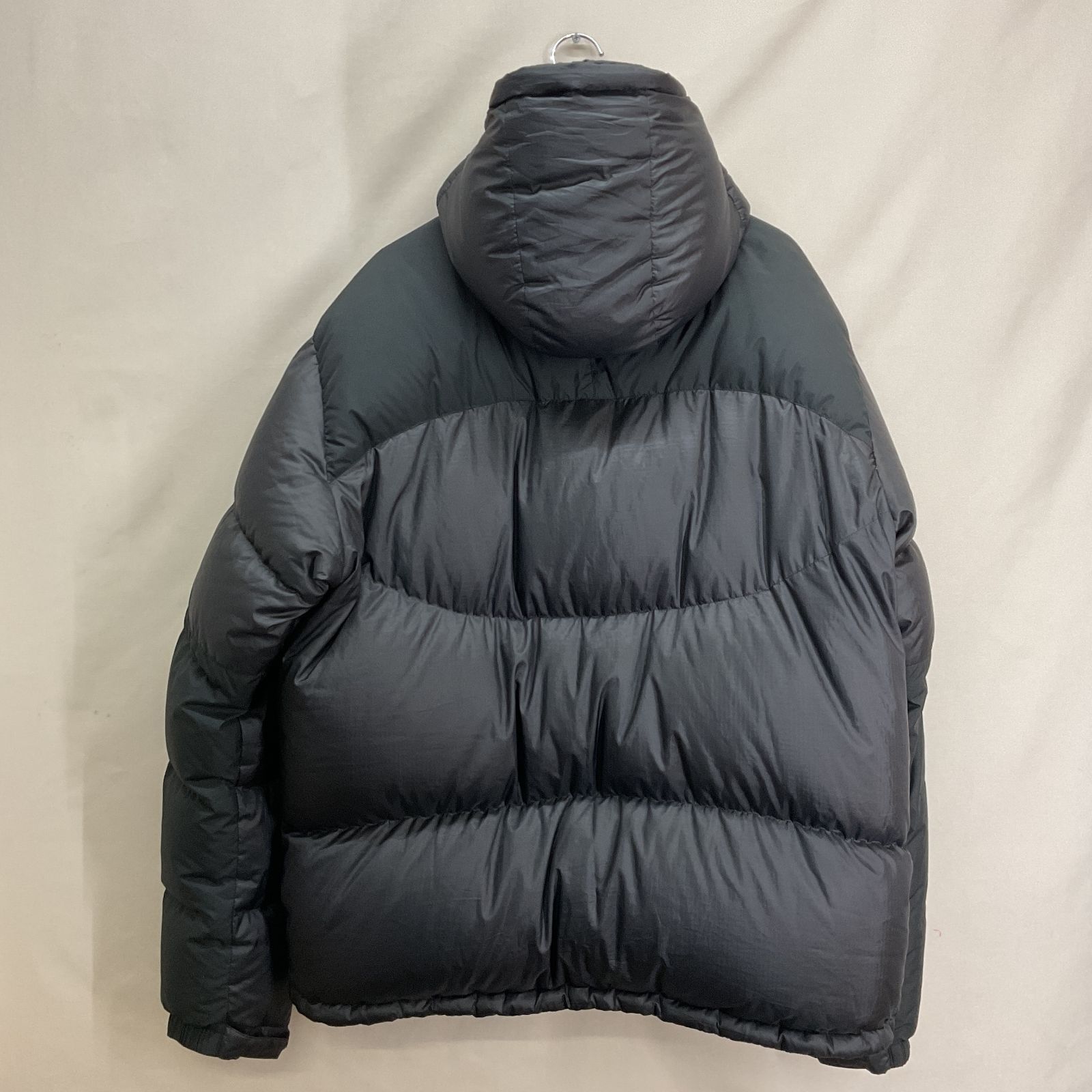 Patagonia (パタゴニア) 06年製 Down Parka ダウンパーカ L【I0192-005