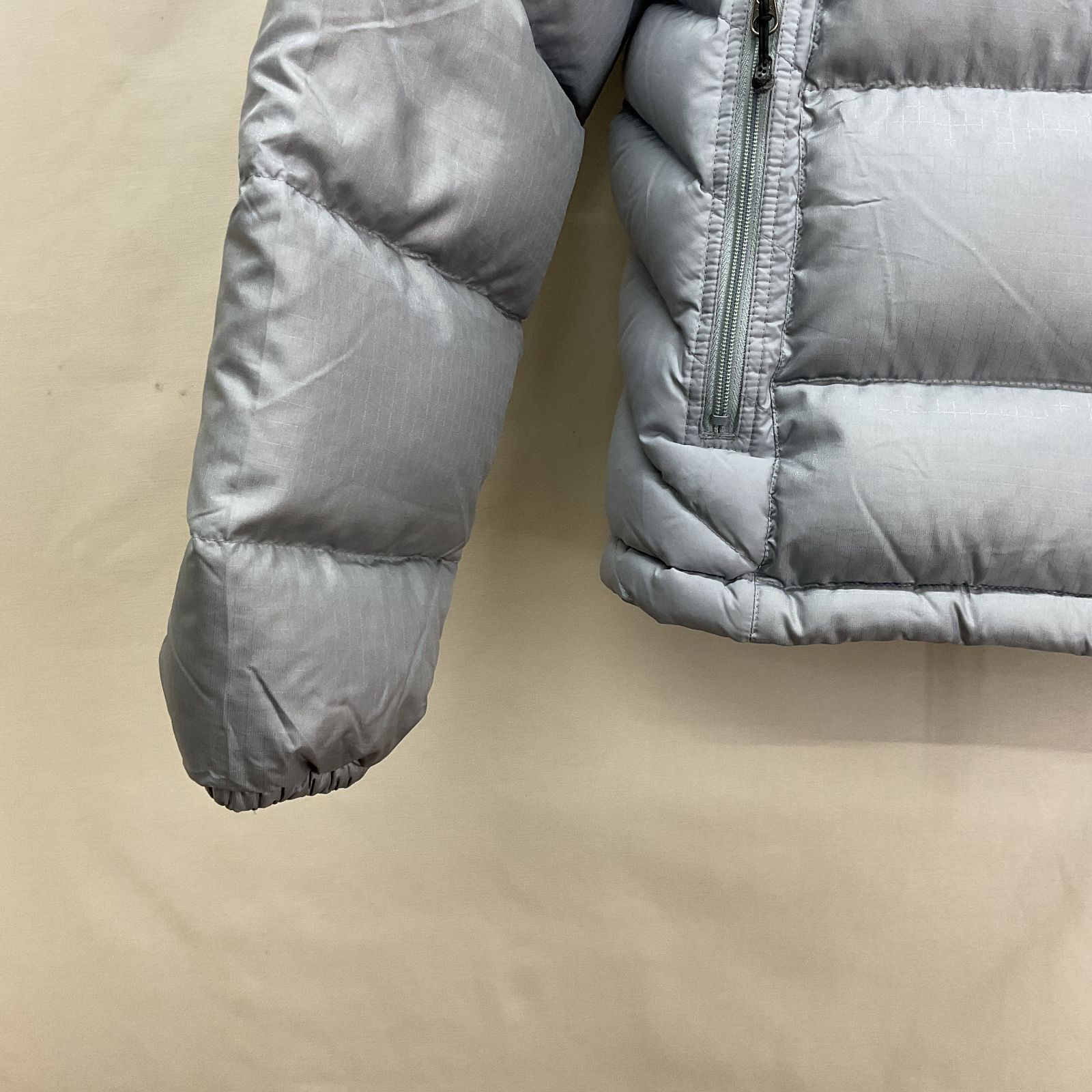 Patagonia (パタゴニア) 00s インサレーショングースダウンジャケット