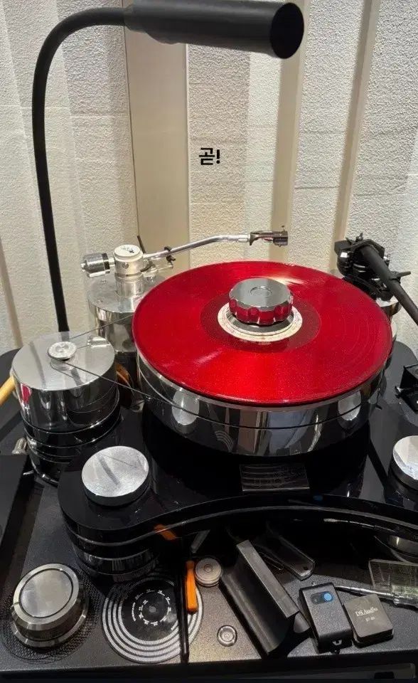（配送先変更）黒スカート LP