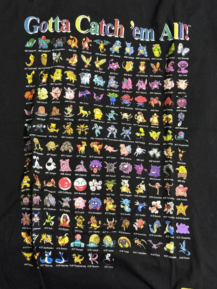 ディスイズネバーザット ポケットモンスター L