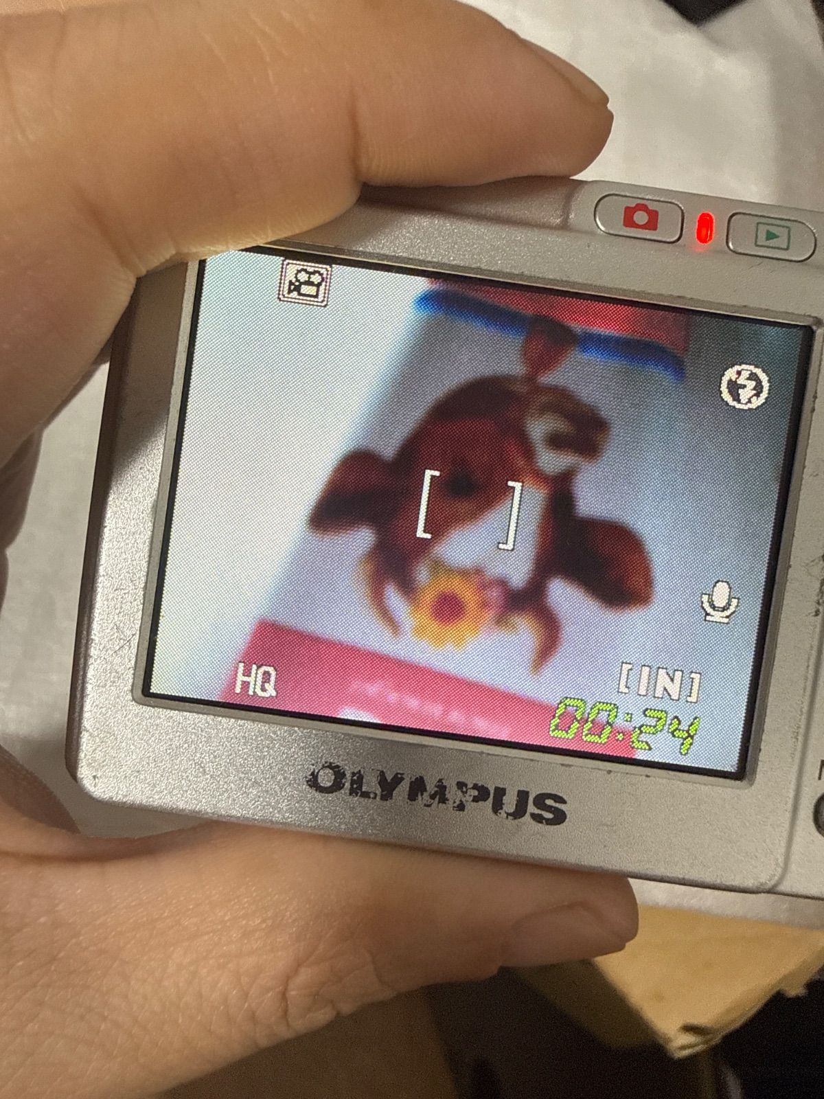 ❗️動作良好❗️デジカメ 本体 OLYMPUS X-750 - メルカリ