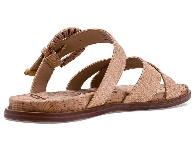 サムエデルマン レディース シューズ スニーカー Sam Edelman Lucy Bleached Beechw サムエデルマン レディース シューズ スニーカー Sam Edelman Lucy Bleached Beechw