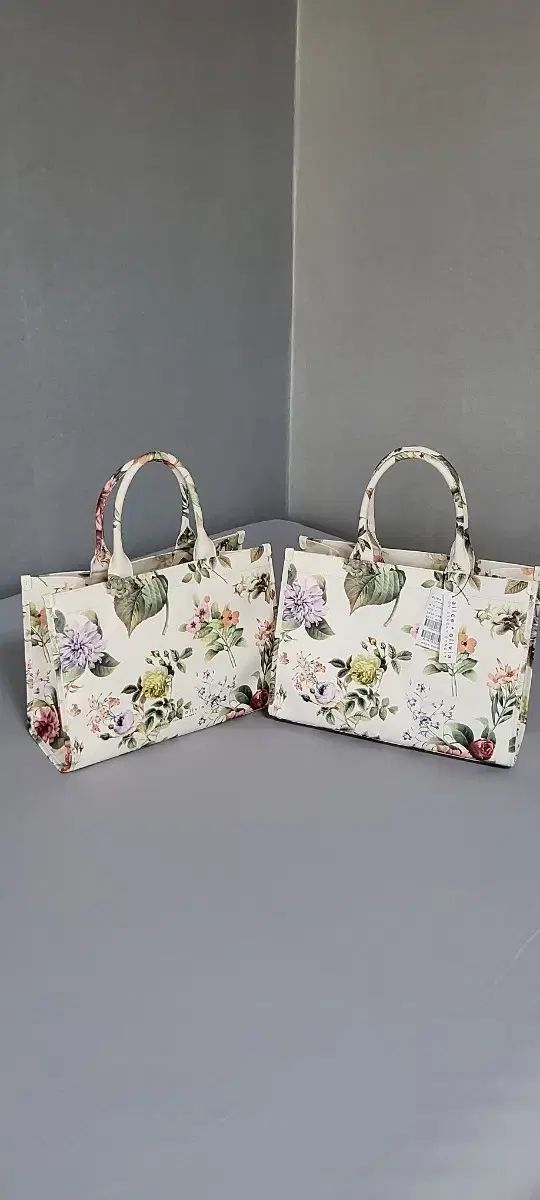 新品)アリス アンド オリビア バッグ