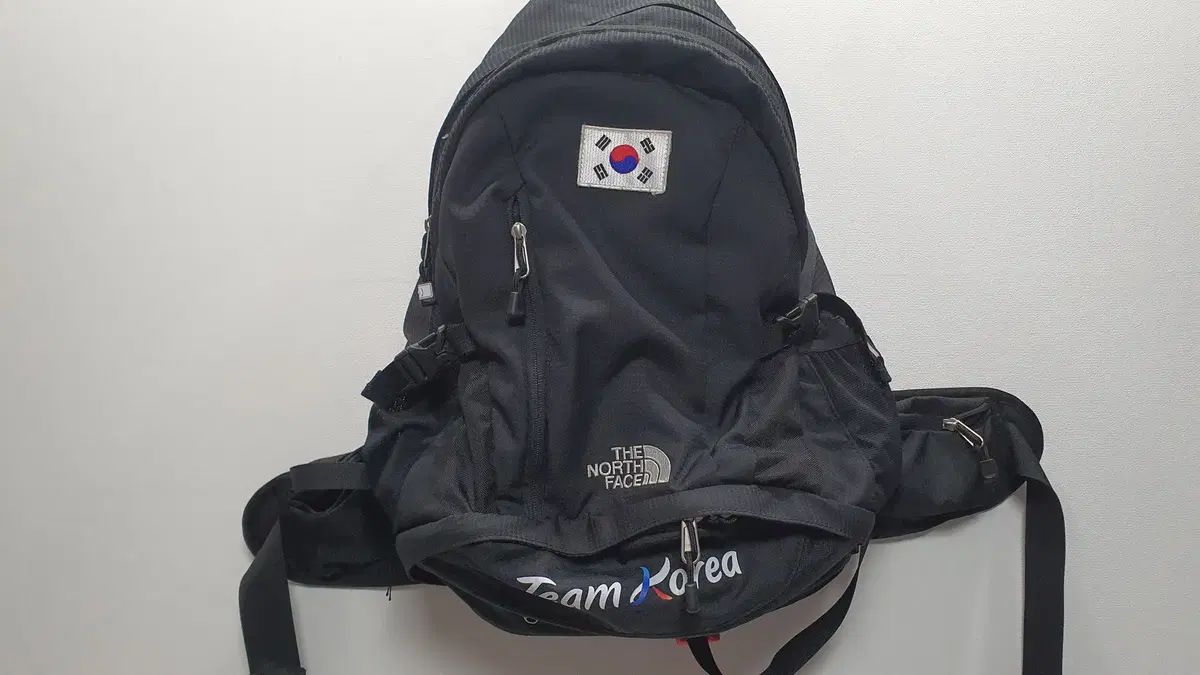 THE NORTH FACE ザノースフェイス チームコリア 韓国国家代表 バックパック