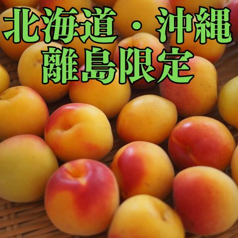 【紀州南高梅】にこにこ超完熟南高梅 食べごろサイズ 3kg<北海道・沖縄・離島の方用>