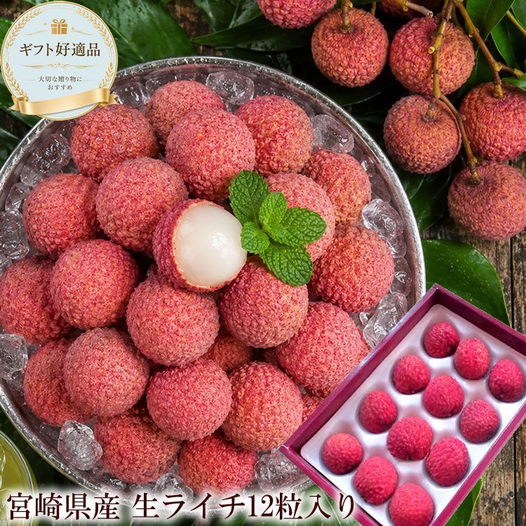 7月初旬より出荷開始 お中元 ギフト 国産ライチ 送料無料 お中元 ギフト 暑中お見舞い 残暑お見舞い 夏ギフト [宮崎県産生ライチ]