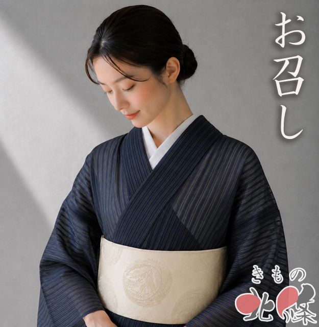 夏物 夏着物 お召し 御召 着物 中古 正絹 カジュアル 縦縞模様 黒色 身丈153.5cm 裄65cm SA きもの北條 A1380-1