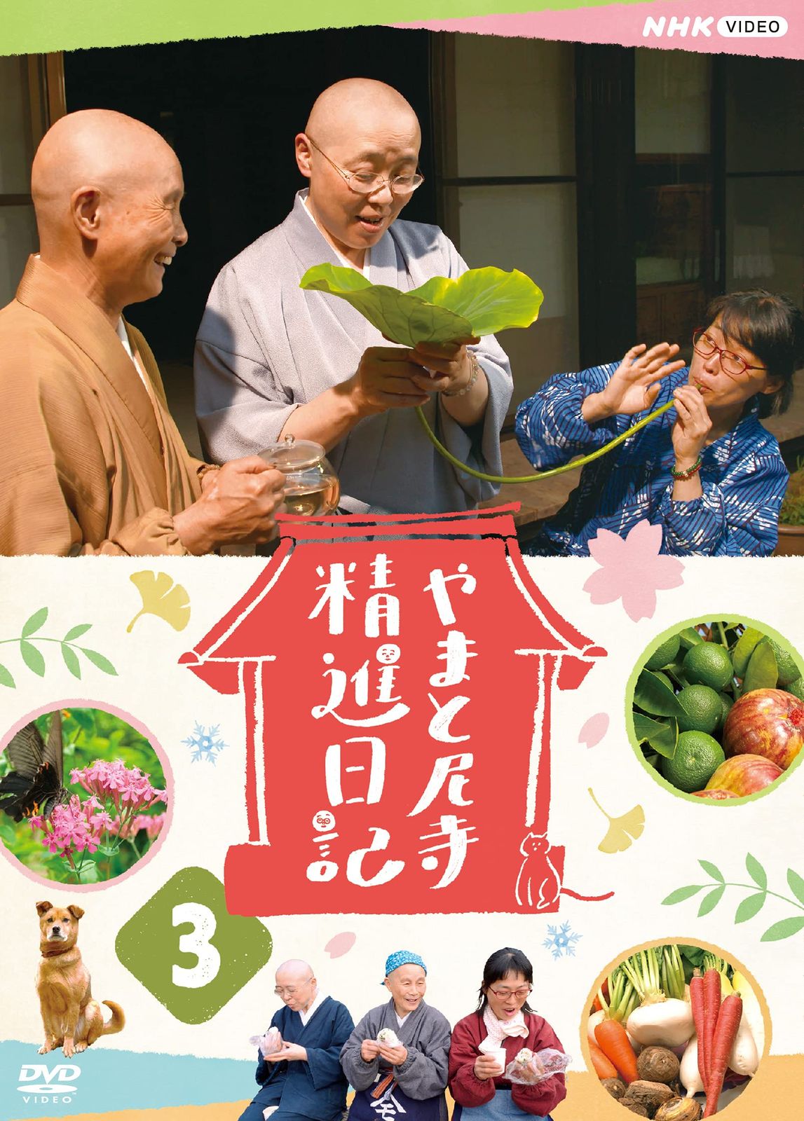 やまと尼寺 精進日記 3 [DVD]