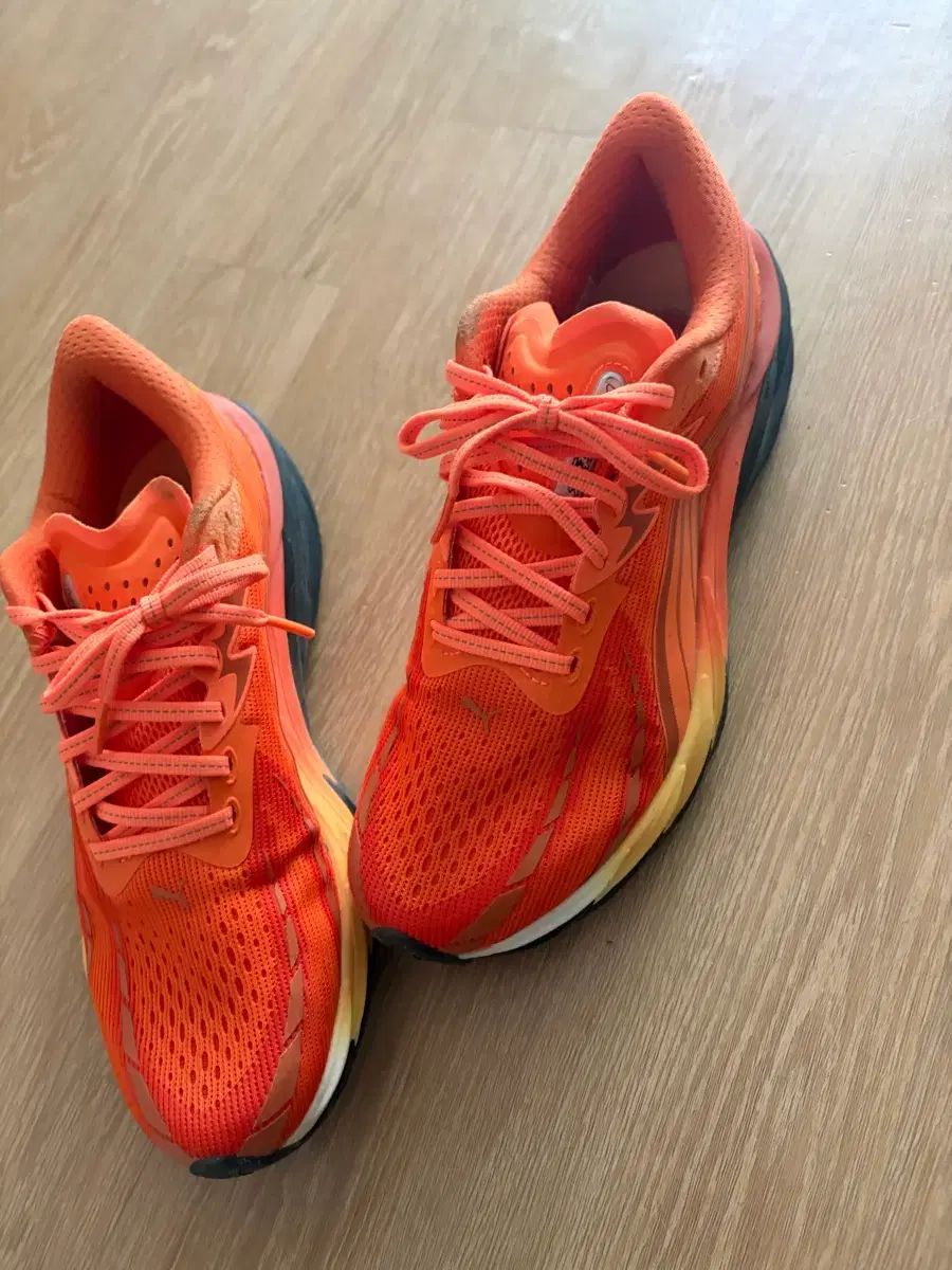 プーマ VELOCITY NITRO 4 HELLO SUNRISE 270