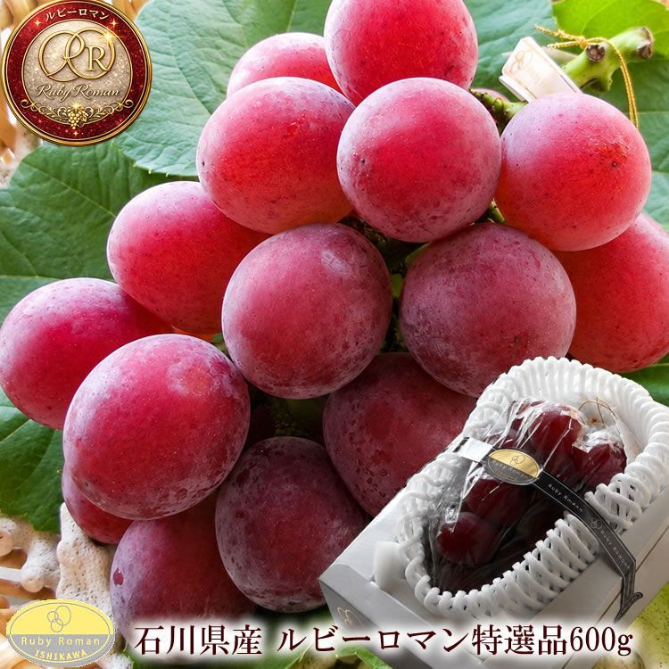 8中下旬より出荷 石川県産[ルビーロマン特選600g]